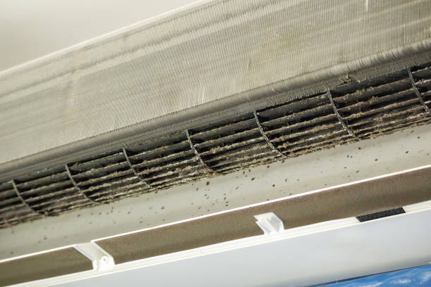 Best Best Air Duct Cleaning Company  in Andusia, AL